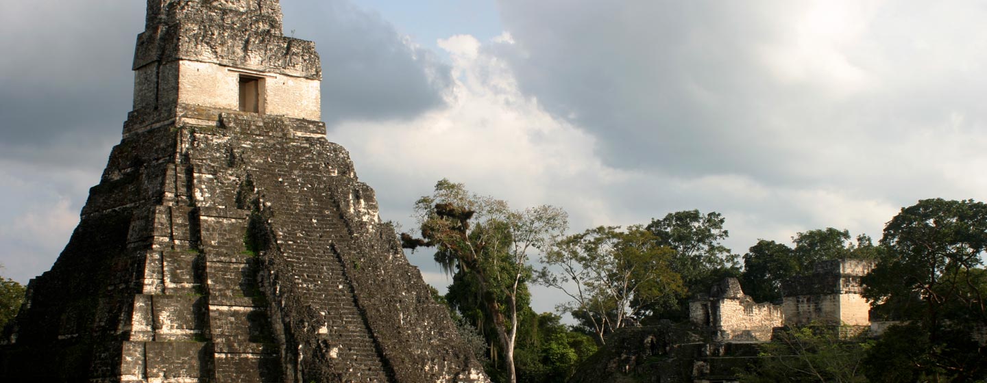טיקאל / גואטמלה - פירמידות במרכז הפולחן בטיקאל