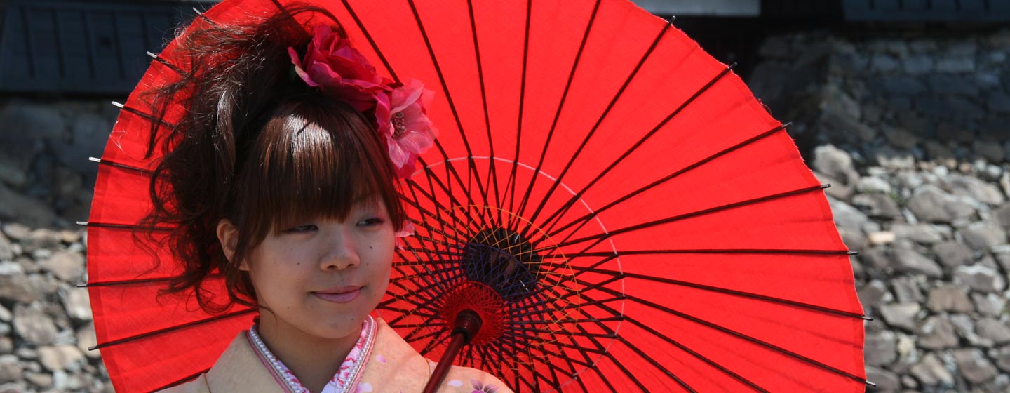 יפן - נערה עם מטריה בעת בפריחת הדובדבן בגן טירת מטסומוטו 