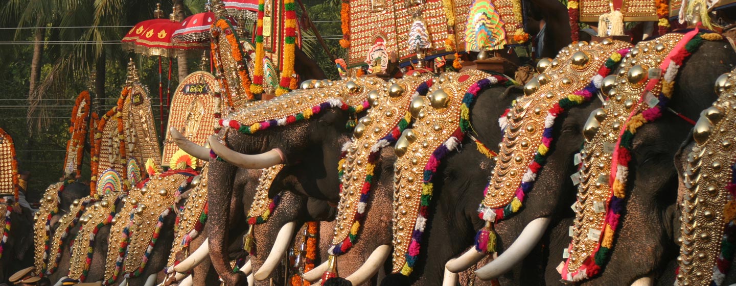 קראלה | הודו - פילים מקושטים בפסטיבל כפרי