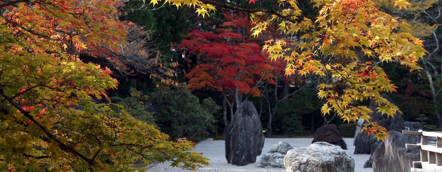 יפן - שלכת בגן יפני בהר קויה
