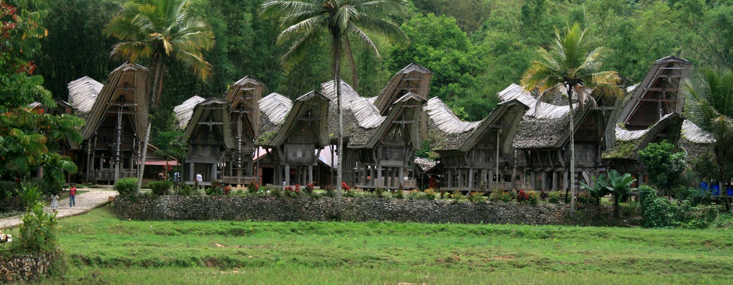 כפר בטאנה טורג'ה - האי סולאווסי | אינדונזיה