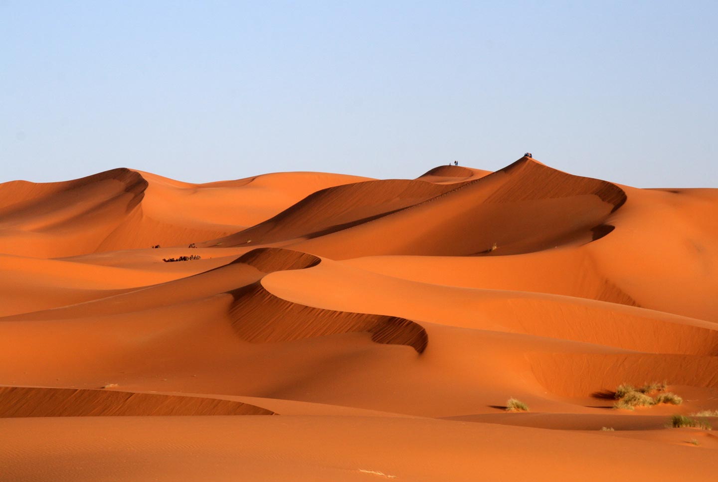 דיונות בקדמת הסהרה, דרום מרוקו