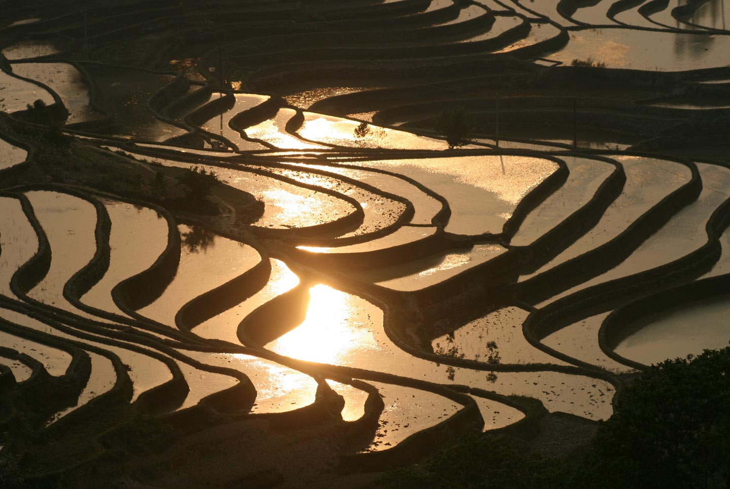טרסות בהצפה במחוז יונאן, דרום מערב סין