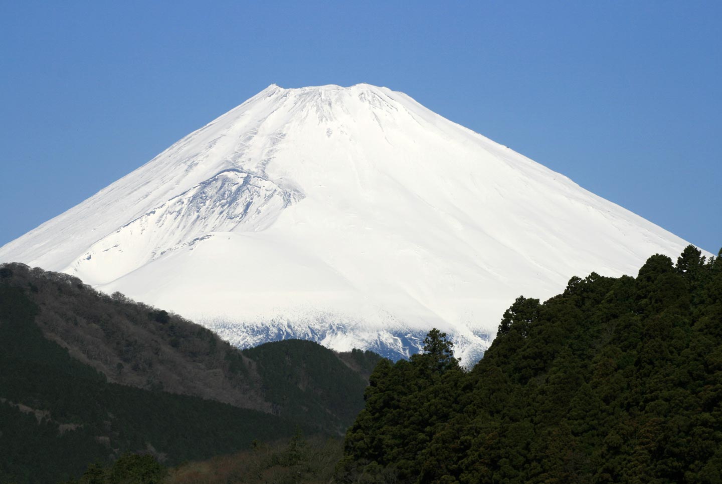 פסגת הר פוג'י באביב, יפן