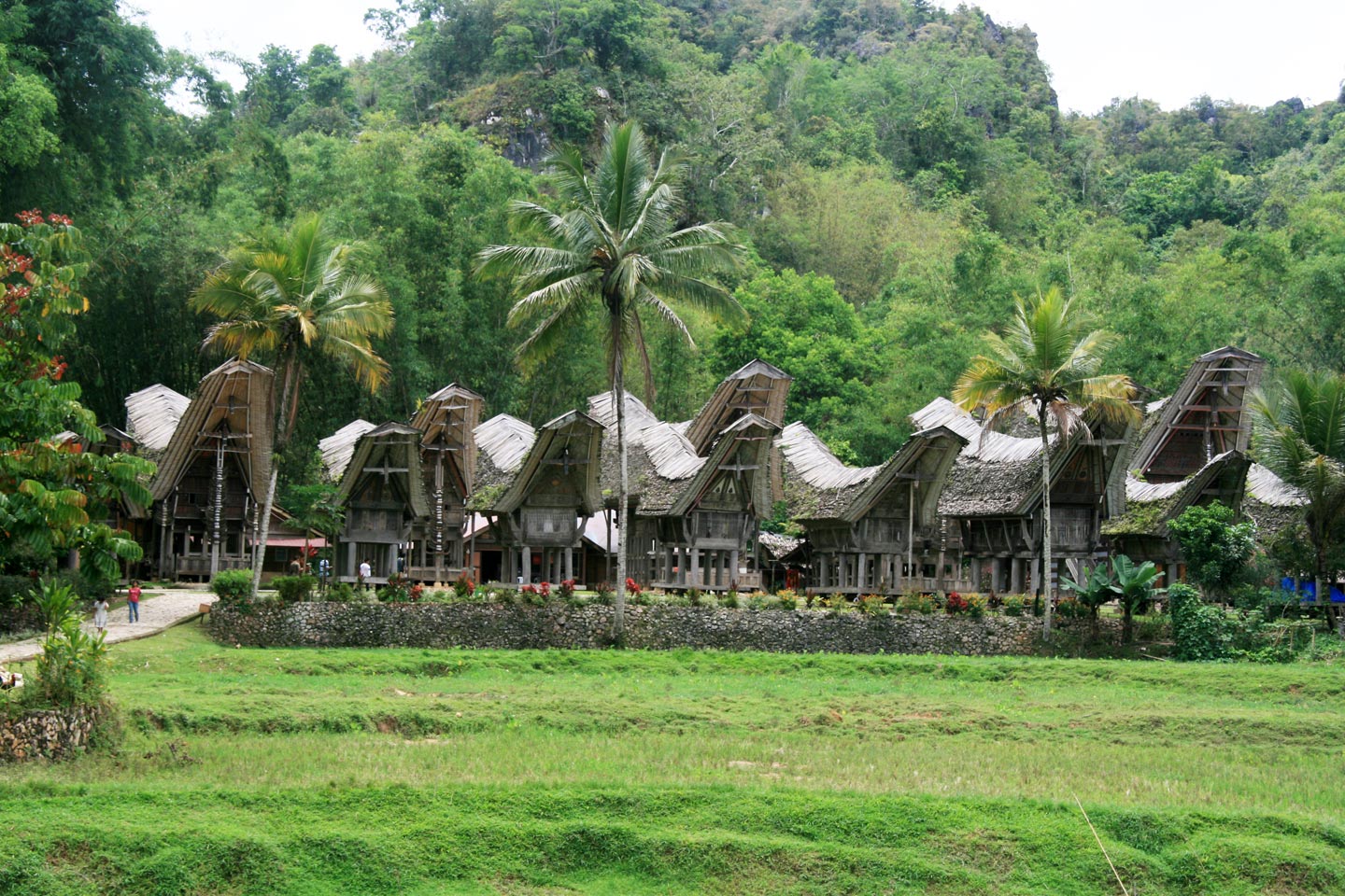 בתי סירה בכפר. טאנה טורג'ה, סולאווסי, אינדונזיה
