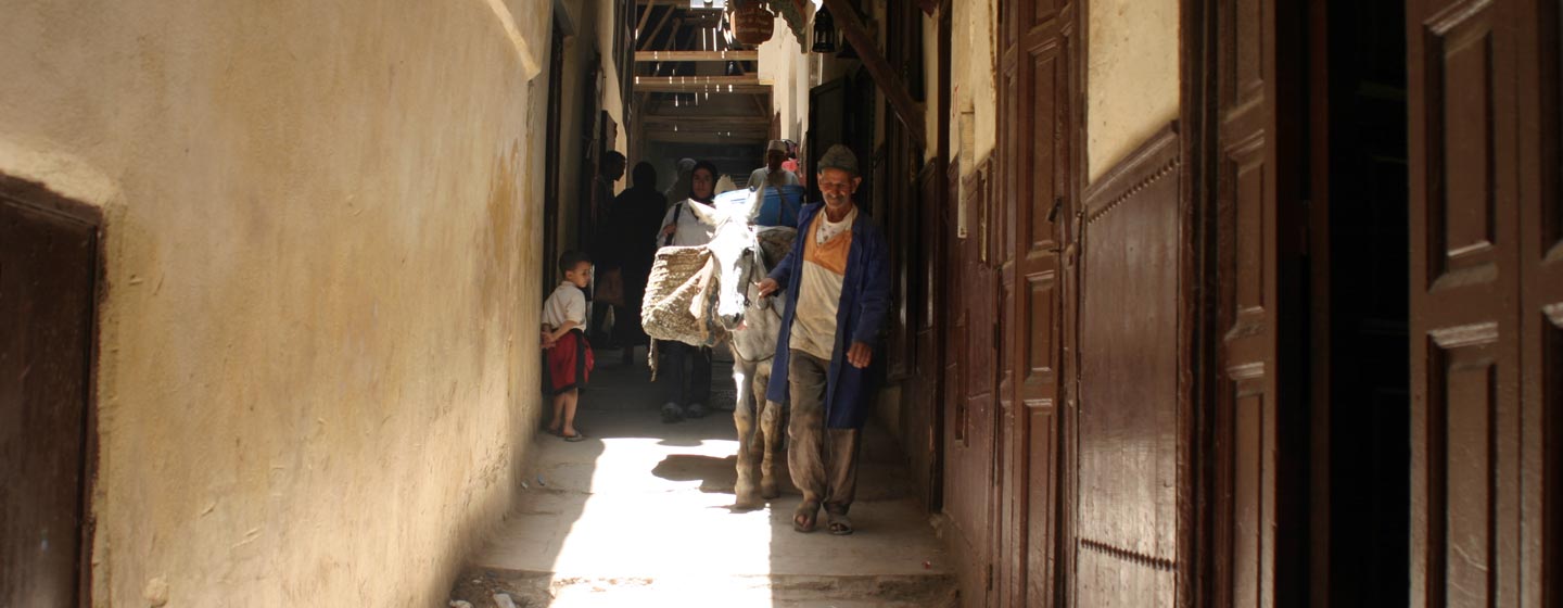סמטאות פס במרוקו