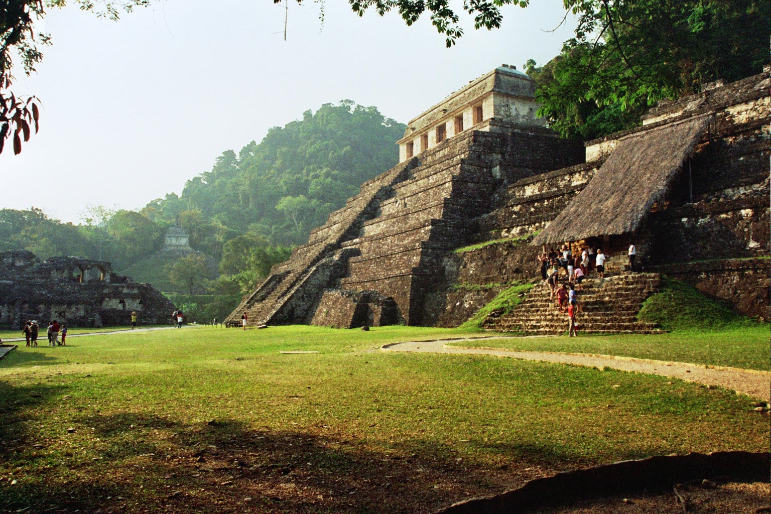 פירמידה באתר המאיה בפאלנקה, מחוז צ'יאפס, מקסיקו