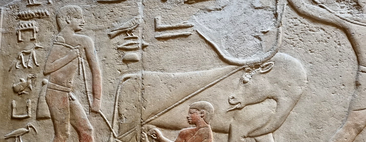 תבליט מקבר מררוקה בסקארה, מצרים