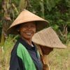 אשה בשדה, ג'אווה, אינדונזיה. צילום: ניסו קדם