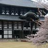 מקדש טודאיג'י בנארה - הבירה הקדומה של יפן, האי הונשו, יפן