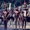 לוחמים משבט דאני, וואמנה, עמק באליאם, מערב פפואה, אינדונזיה
