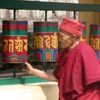 נזירה טיבטית בדראמסאלה, הימאצל פראדש, הודו