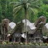 בתי הסירה של בני הטורג'ה. טאנה טורג'ה, סולאווסי, אינדונזיה.